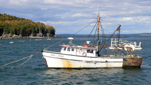 Illustration for article titled Need To Cry At Work But Don’t Want Your Male Coworkers To Lose Respect For You? Here Are 5 Photos Of Damaged Boats To Pretend That You’re Sad About